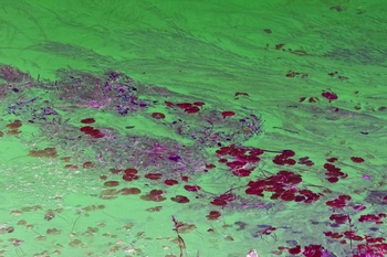 N 034A